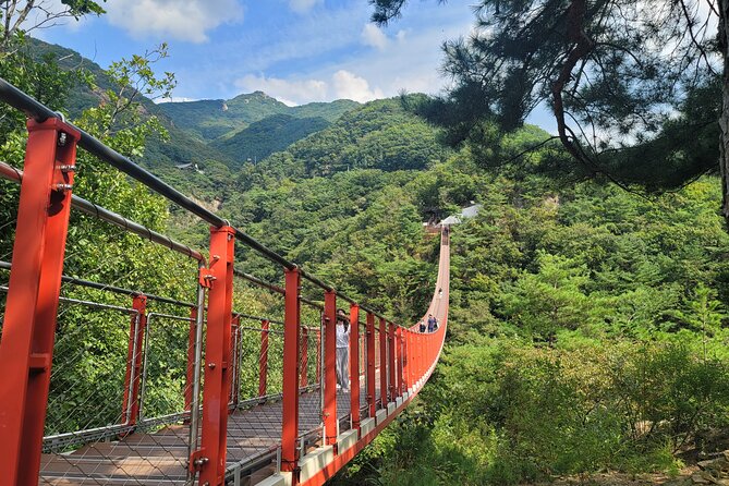 Private DMZ Tour and Suspension Bridge + Korean BBQ - Lunch and Dining Options