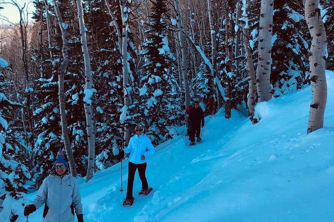 Private Guided Snowshoe Excursion in Park City (9:30am and 1:30pm Start Times) - Cancellation Policy