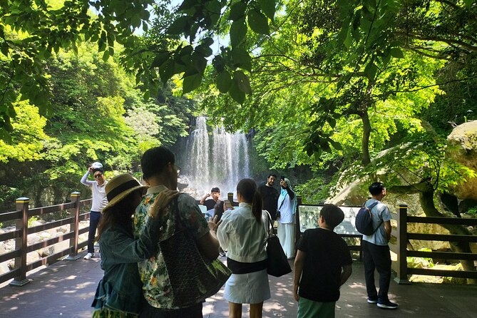 Private Tour Cheonjeyeon Falls & Osulloc Museum in Jeju Island - Tour Pricing and Reviews Summary