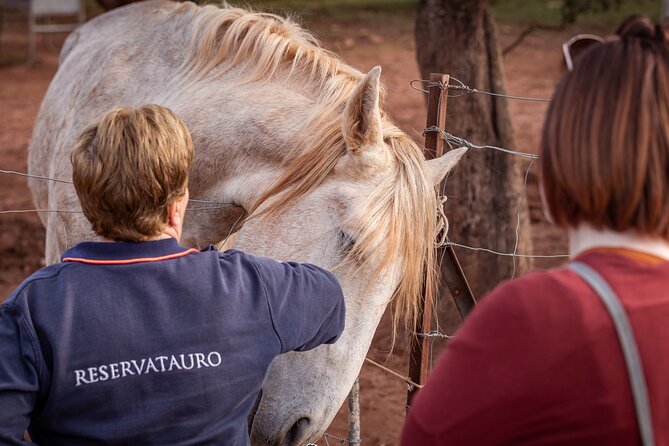 Ronda Reservatauro Guided Tour - Booking Information