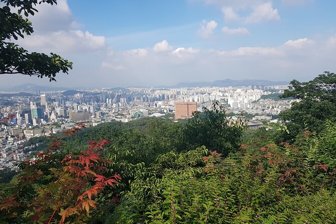 Seoul Tower Walking Tour - Tour Accessibility and Notes