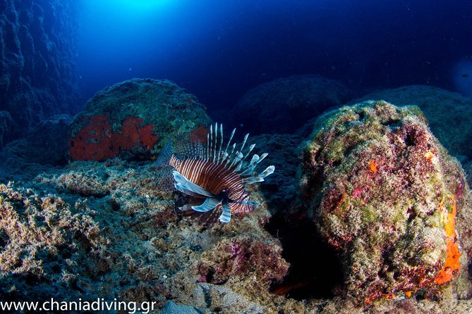 Small-Group Introductory Scuba Diving Class, Crete  - Chania - Accessibility Details