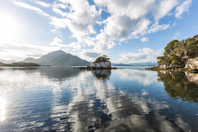 Southwest Tasmania Wilderness Experience: Fly Cruise and Walk Including Lunch - Guided Wilderness Walking Tour