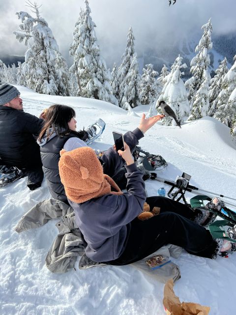 Vancouver: North Shore Mountains Snowshoeing With Transfer - Restrictions