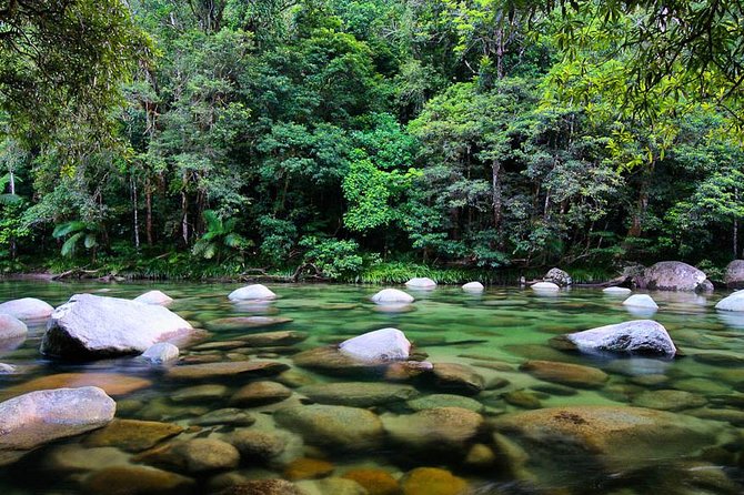 3-Day Small-Group Tour of North Queensland With Pick up - Safety and Accessibility