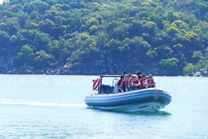 360 Boat Experience to Circumnavigate Magnetic Island - Reviews From Past Travelers