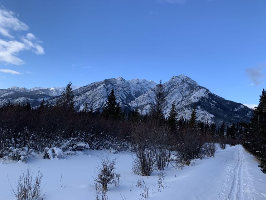 Banff: Best of Banff Nature Walk - 2hrs - Nature Walk Experience