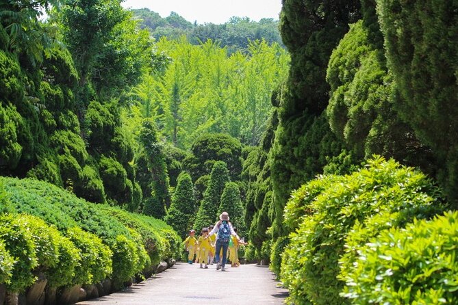 Beartree Park With Admission Ticket to Arboretum in Sejong - Accessibility and Transportation Options