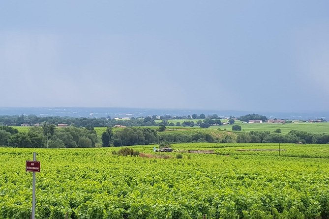 Beaujolais Wine Tasting - Assistance