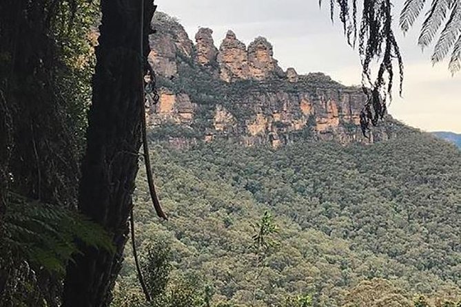 Beauty of the Blue Mountains Private Tour - Tour Inclusions and Options