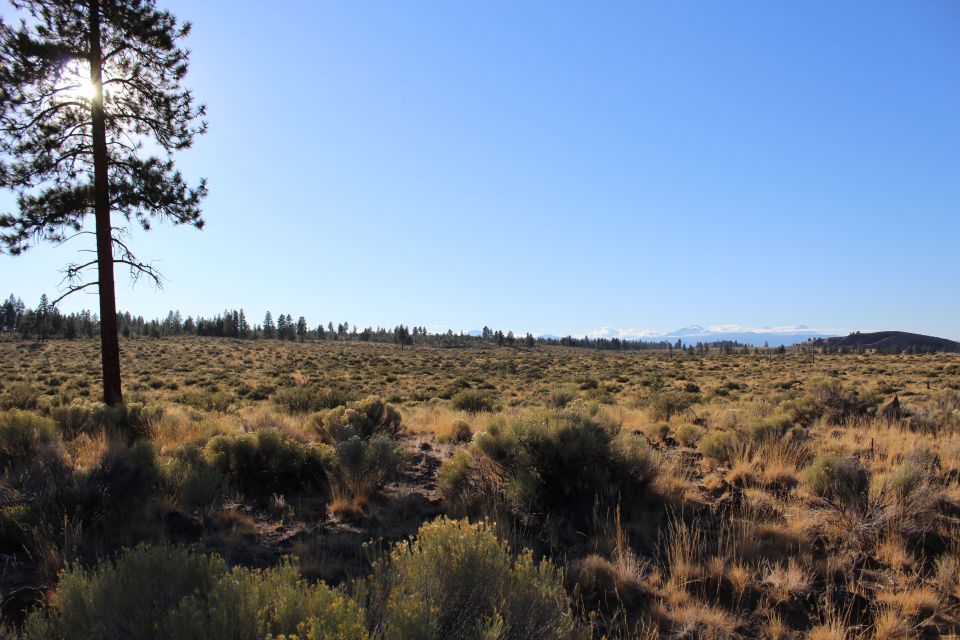 Bend: Half-Day Lava Tube Cave Tour - Common questions