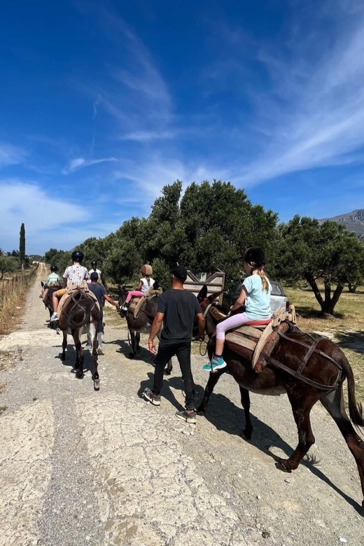 Donkey Ride - Cretan Country - Inclusions Provided