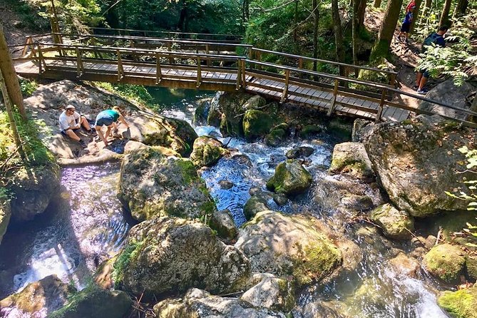 Exploring the Gutenstein Alps - Culinary Experiences in Nature