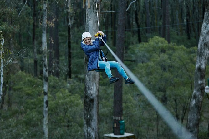 Forest Adventures - Expert Instructor Guidance