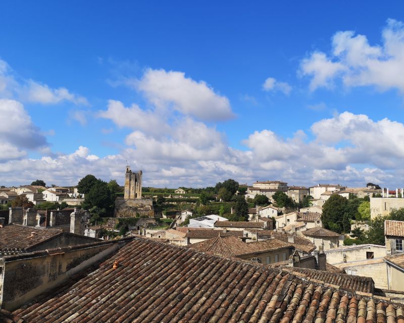 From Bordeaux: Saint-Émilion Half-Day Trip With Wine Tasting - Inclusions and Exclusions