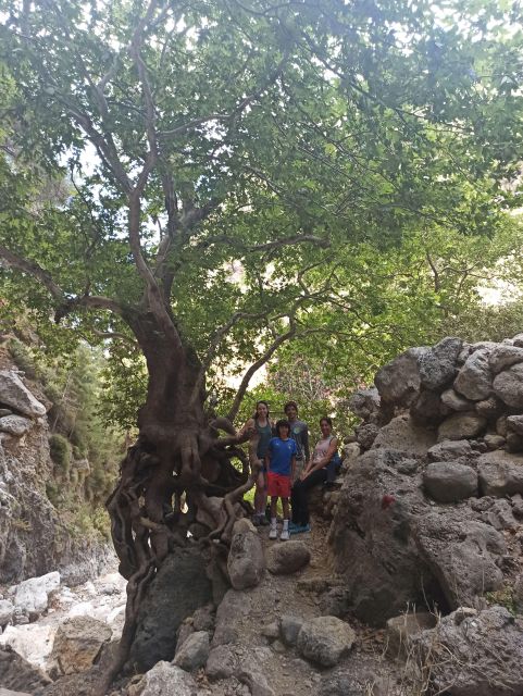 From Chania: Agia Irini Gorge Hike & Secret Cove Relaxation - Inclusions