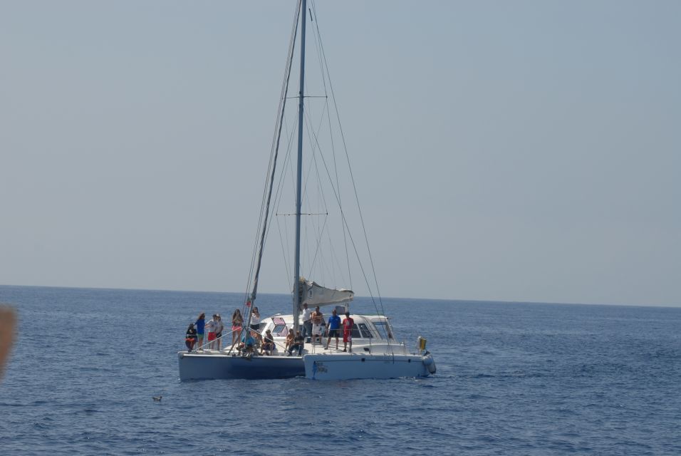 Funchal: Private Catamaran Tour With Dolphin Watching - Restrictions