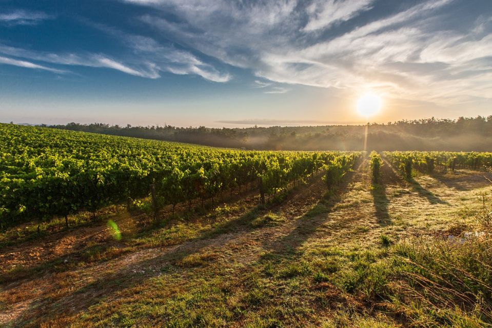 Half Day Chianti Wine Tour With Private Lamborghini - Booking Information