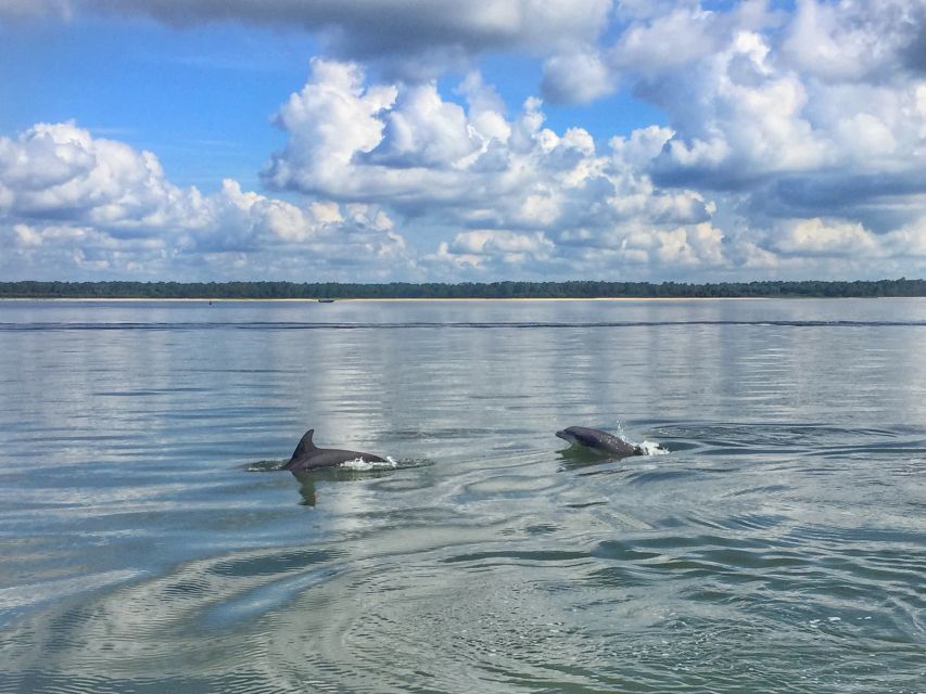 Hilton Head Island: Sunset Creek Cat Boat Tour - Customer Reviews