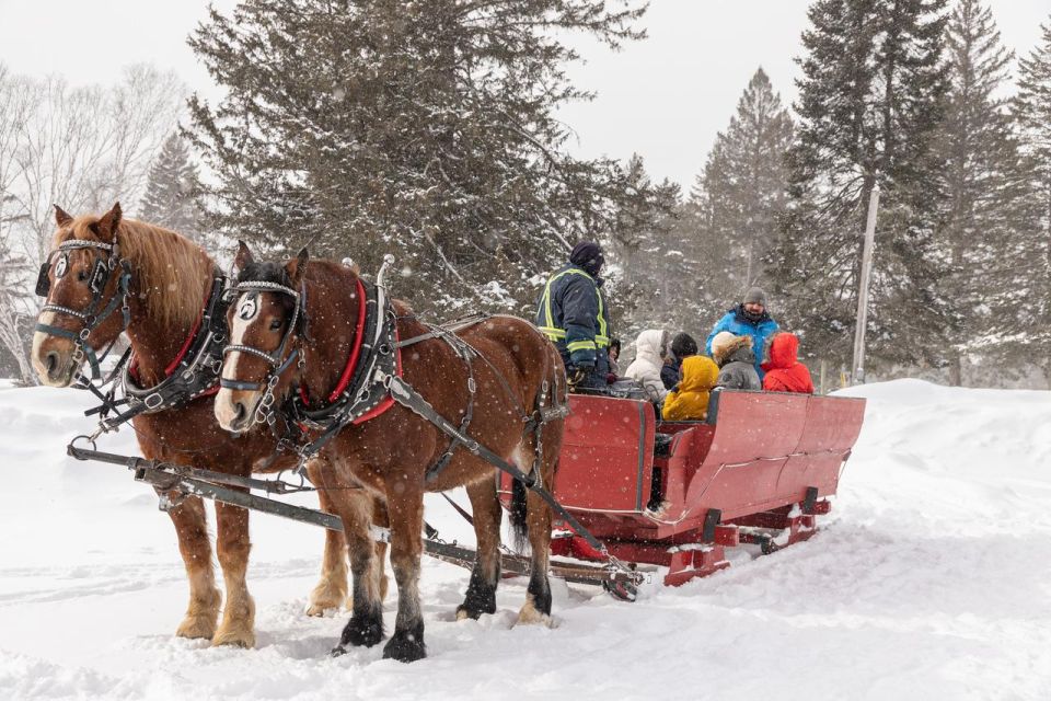 Mont-Tremblant: Sleigh Ride W/ Storytelling & Hot Chocolate - Unique Experience