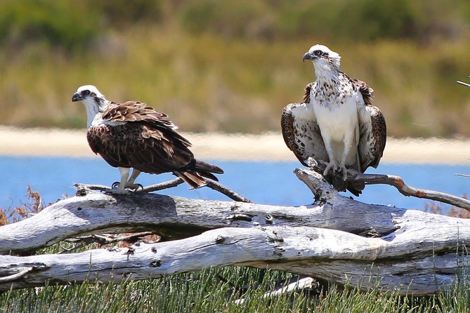 Murray River Lunch Cruise - Meeting and Departure Details