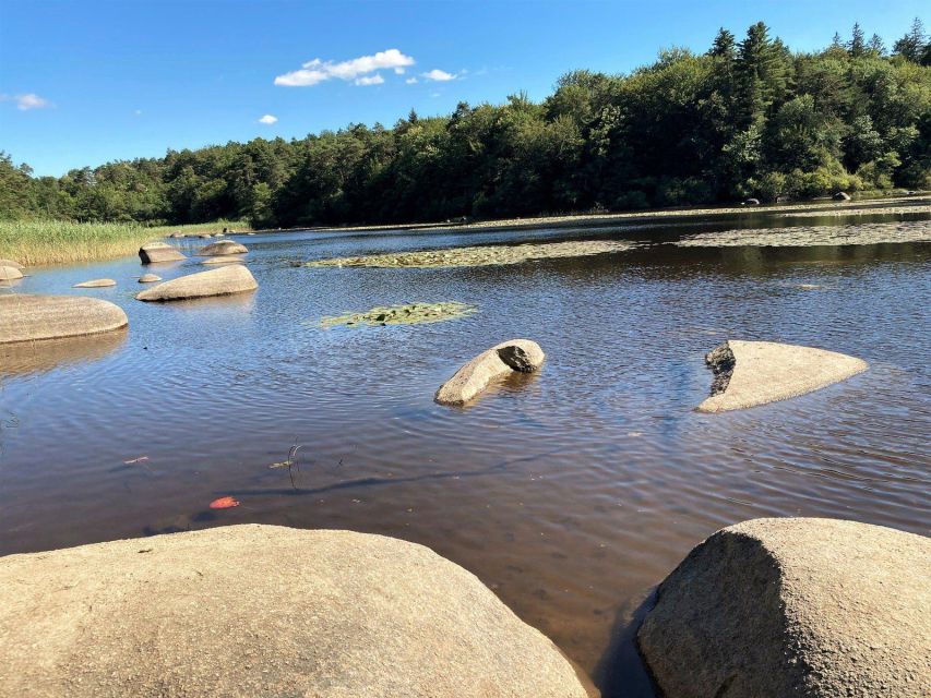 Mystical Exploration of the Rocks of Sidobre - Tarn (81) - Delving Into Local Culture