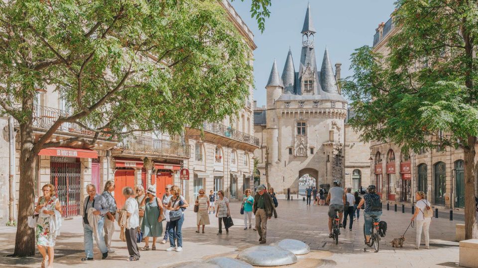 Panoramic Bordeaux Tour in a Premium Vehicule With a Guide - Vehicle and Guide Information