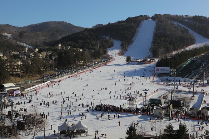 [Premium Private Ski Tour] Pyeongchang Olympic Site (Private Ski Lesson) - Itinerary and Schedule