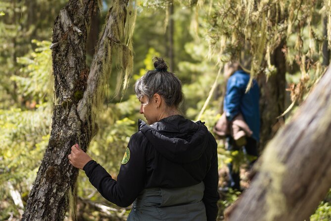 Private Forest Bathing in Serene Whistler Forests - Reviews