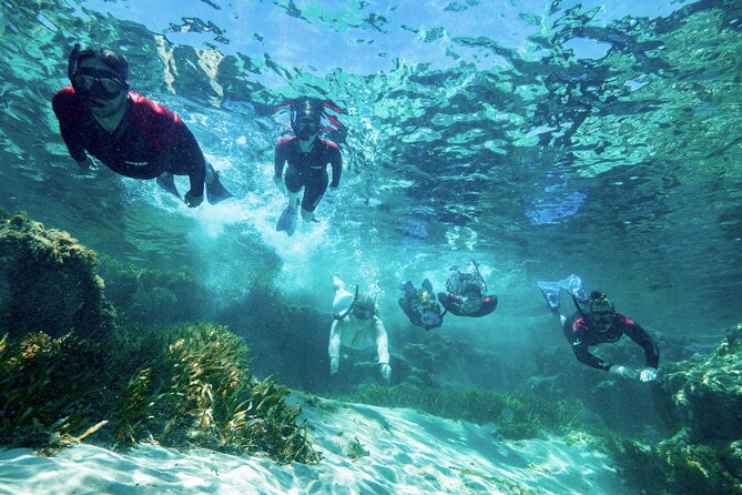 Rottnest Island Guided Snorkel Boat Experience - Meeting Point and Itinerary