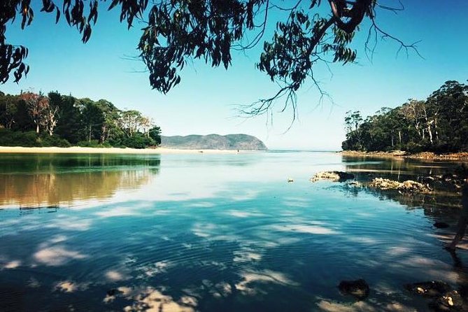 SHORE EXCURSION - Full-Day Guided Bruny Island Tour From Hobart - Ferry Ride and Island Scenery