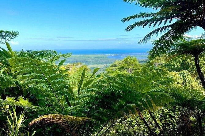 Total Daintree Experience Tour From Port Douglas - Tour Logistics and Details