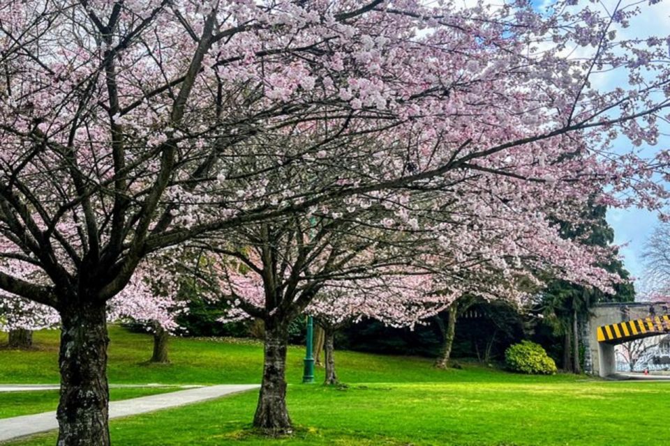 Vancouver City Tour With Cherry Blossom Festival Private - Common questions