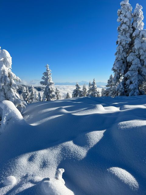 Vancouver: North Shore Mountains Snowshoeing With Transfer - Booking Information