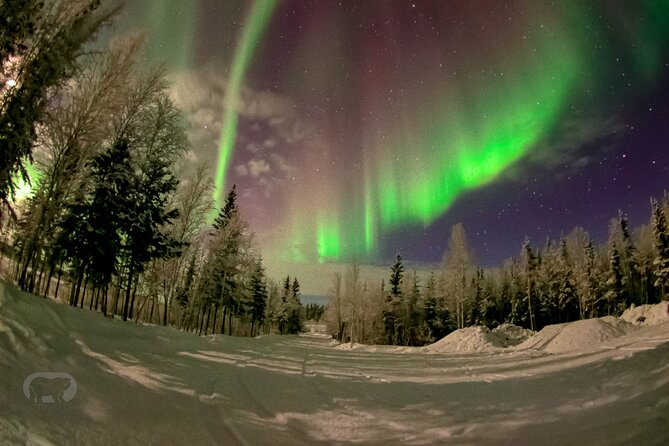 Yellowknife 2 Nights Aurora Hunting and Viewing in Lakeview Cabin - Reviews Overview