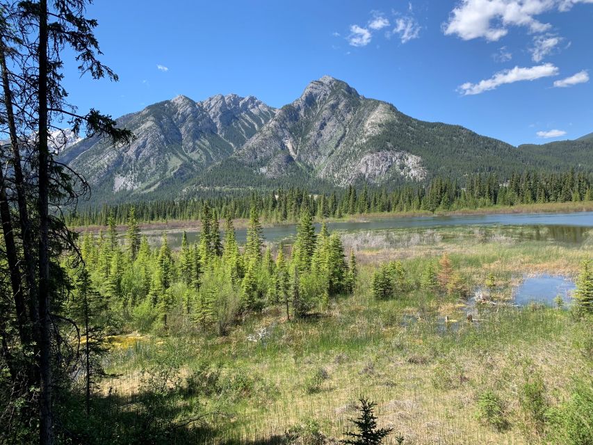 Banff: Best of Banff Nature Walk - 2hrs - Meeting Point Instructions