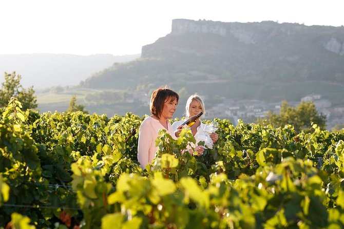 Beaujolais Wine Tasting - Directions