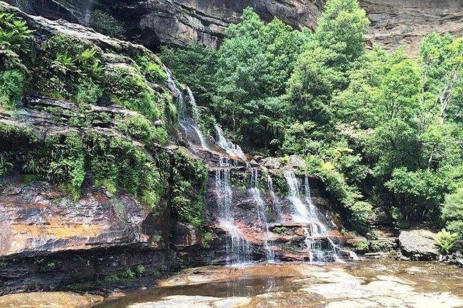 Beauty of the Blue Mountains Private Tour - What to Expect on Tour