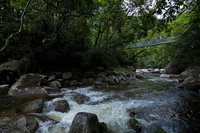 Cape Tribulation, Mossman Gorge and Daintree Rainforest Day Tour - Important Tour Notes and Reminders