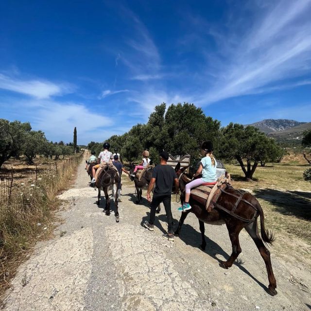 Donkey Ride - Cretan Country - Meeting Point and Directions