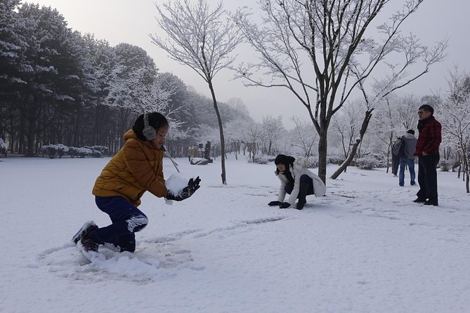 Elysian Gangchon Ski Resort With Nami Island Day Tour From Seoul - What to Expect at Elysian Gangchon