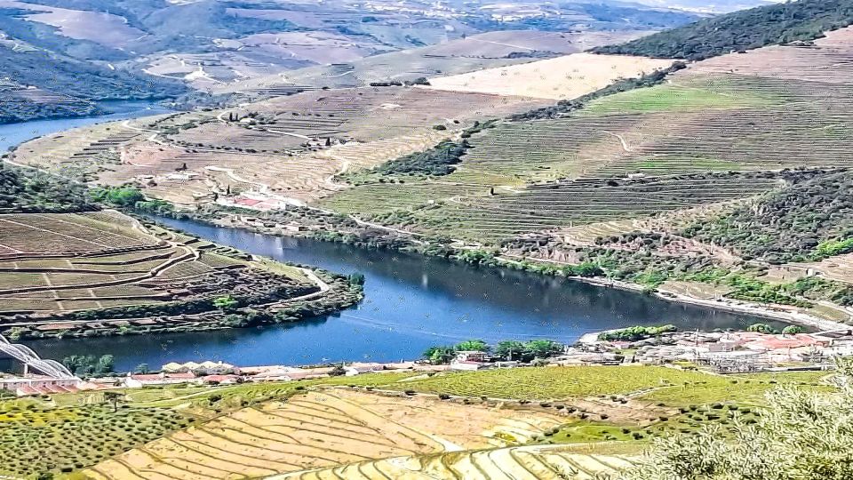 Foz Côa & Douro Private Tour: Rock Carvings and Superb Views - Directions