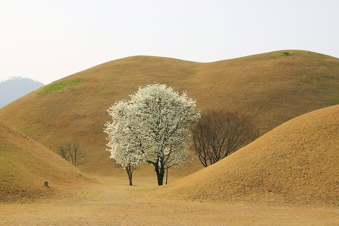 Full-Day Small Group Gyeongju History Tour From Seoul - Tour Schedule and Logistics