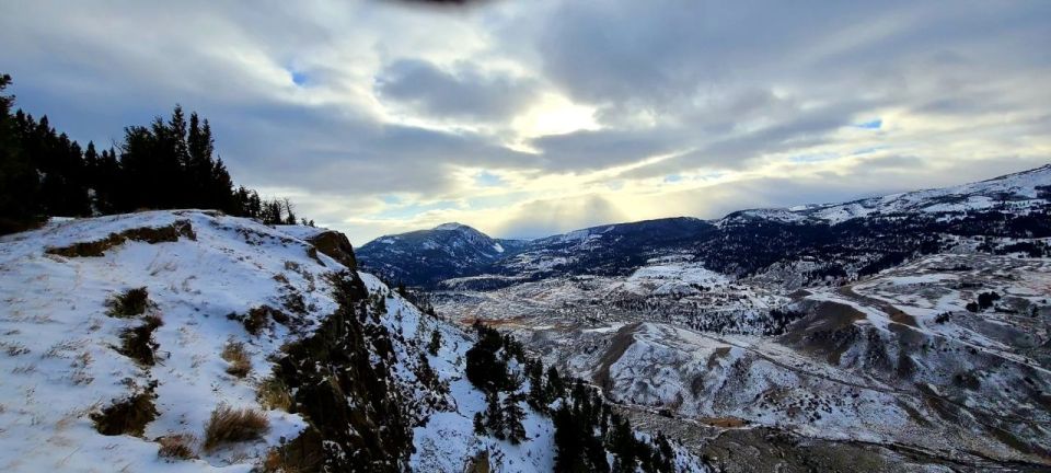 Gardiner: Yellowstone National Park Wildlife Guided Tour - Logistics