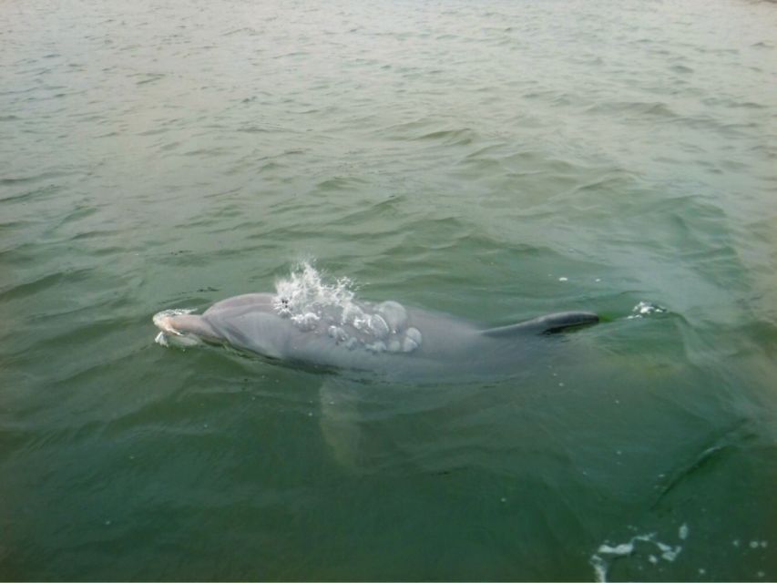 Hilton Head Island: Sunset Creek Cat Boat Tour - Important Reminders