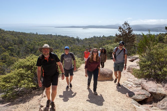 Hobart to Launceston via Wineglass Bay - Active One-Way Day Tour - What to Expect and Prepare