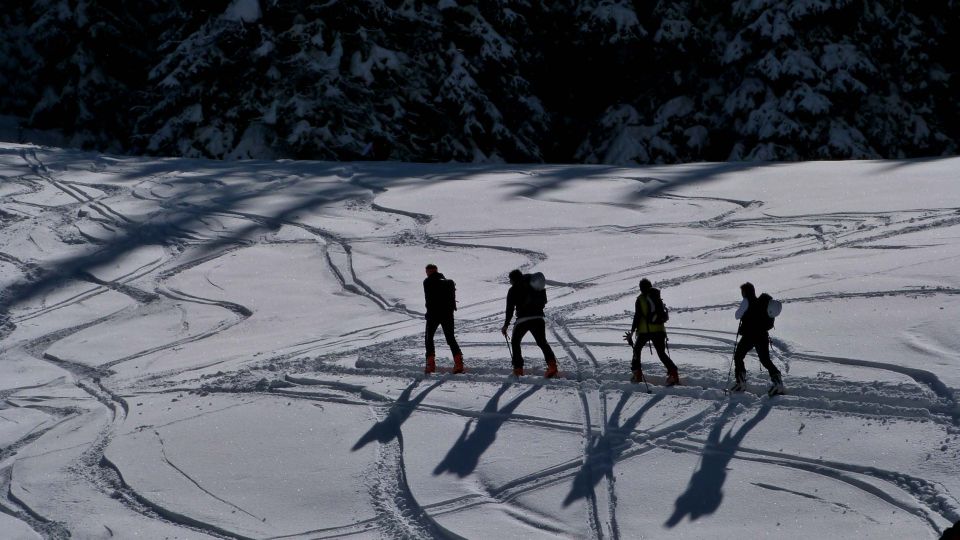 Innsbruck: Priv. Guided Snowy Mountain Hike /Snowshoes - Privacy Protection and Data Security