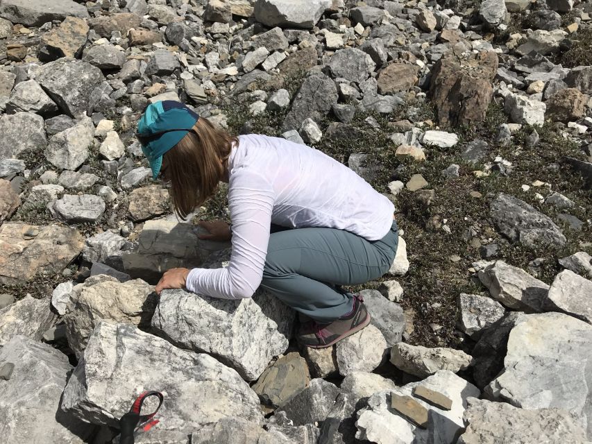 Kootenay National Park: Stanley Glacier Valley Tour - Directions to Stanley Glacier Trailhead