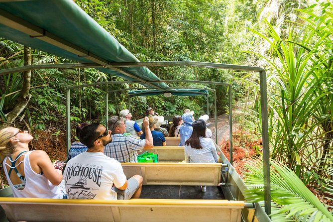 Kuranda Scenic Railway Day Trip From Cairns - Logistics and Accessibility