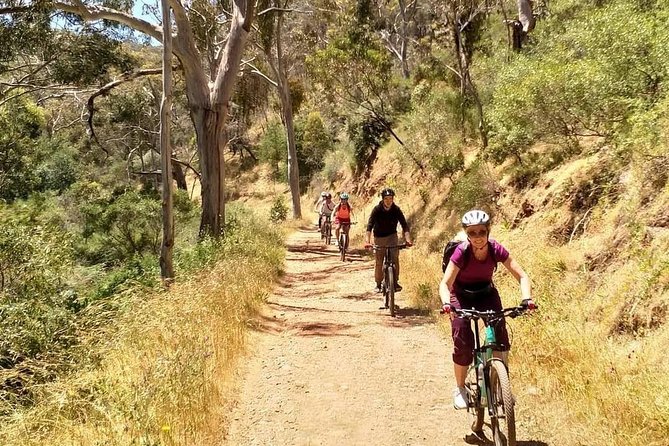 Mount Lofty Descent Bike Tour From Adelaide - Tour Requirements and Notes